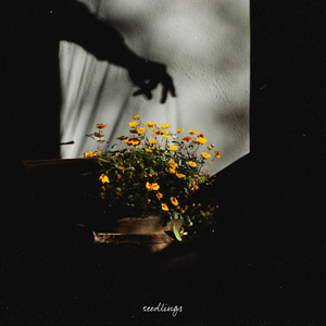 周冬雨被揉到高潮下不了床
