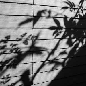 周冬雨被揉到高潮下不了床
